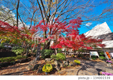 秋の楽寿園 134001539