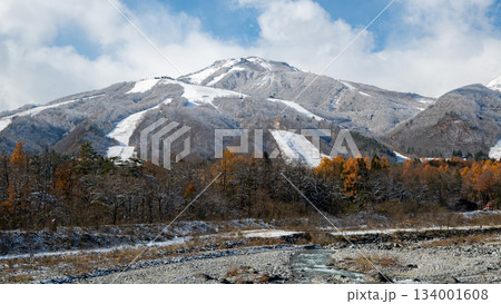 冠雪した晩秋の北アルプス　長野県白馬村 134001608