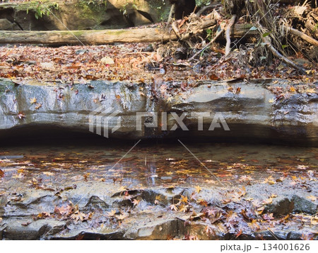 梅ヶ瀬渓谷の晩秋 134001626