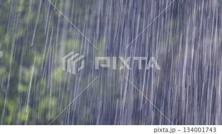 激しく降る雨のイメージ 134001743