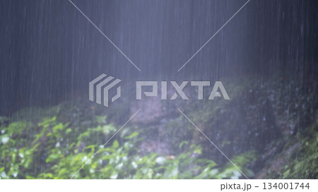 激しく降る雨のイメージ 激しく降る雨のイメージ 134001744