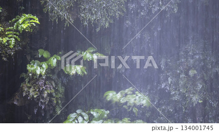 激しく降る雨のイメージ 134001745