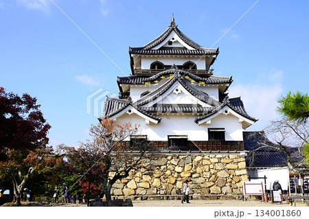 滋賀　彦根　彦根城　本丸にある天守（東南方向から）（晩秋） 134001860