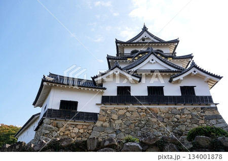 滋賀 彦根 彦根城 天守と附櫓・多聞櫓(北西方向から)(晩秋) 滋賀 彦根 彦根城 天守と附櫓・多聞櫓(北西方向から)(晩秋) 134001878