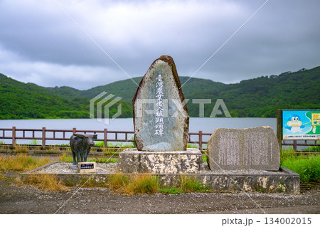 名蔵ダム湖畔に佇む美崎農業者植頭顕碑と水牛像の風景 134002015