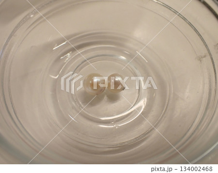 アコヤガイ　真珠 134002468