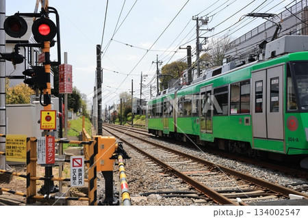 東急世田谷線の電車の走る風景 東急世田谷線の電車の走る風景 134002547