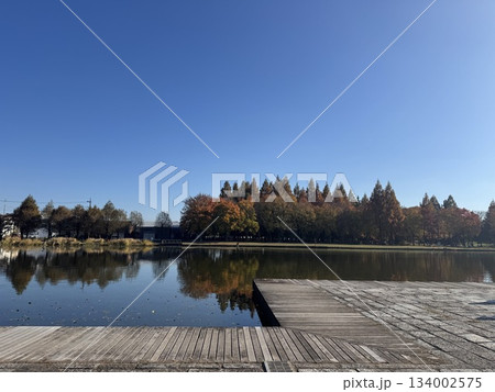 紅葉 紅葉と公園 紅葉 紅葉と公園 134002575