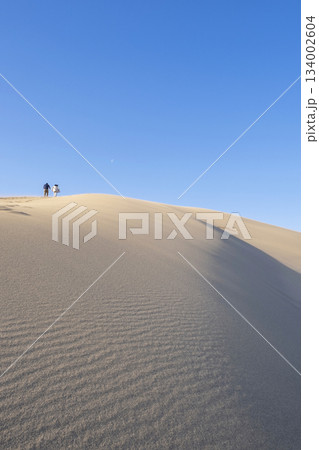 鳥取砂丘の美しい風景 134002604