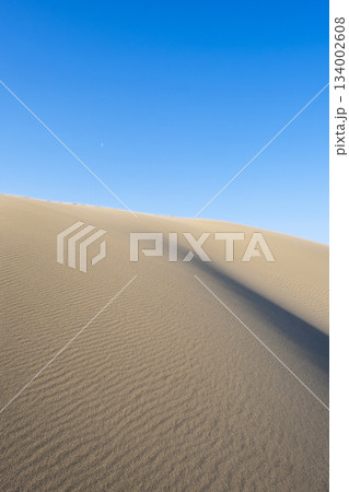 鳥取砂丘の美しい風景 鳥取砂丘の美しい風景 134002608