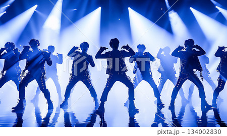 パフォーマンス中のシルエット 134002830
