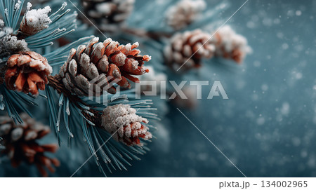 Branch With Pine Cone And Snow Flakes -...のイラスト素材 [134002965] - PIXTA