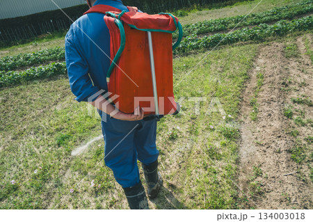 Agriculture 134003018