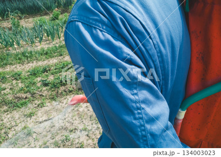 Agriculture 134003023