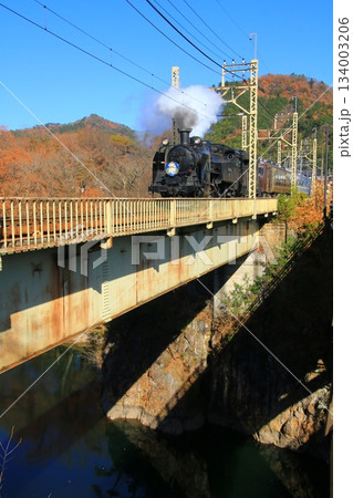 晩秋の鬼怒川橋梁を渡る…【SL大樹】2号 C11207 晩秋の鬼怒川橋梁を渡る…【SL大樹】2号 C11207 134003206