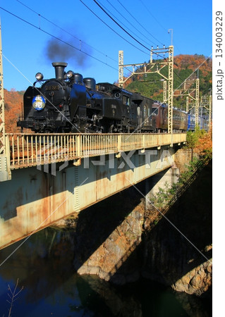 晩秋の鬼怒川橋梁を渡る…【SL大樹】2号 C11207 134003229