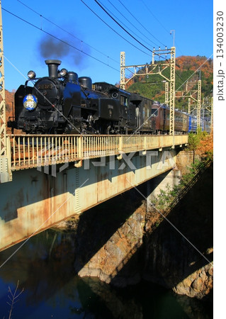 晩秋の鬼怒川橋梁を渡る…【SL大樹】2号 C11207 134003230