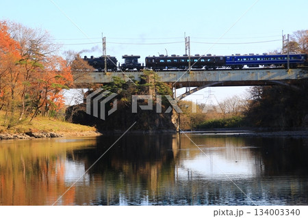 晩秋の鬼怒川橋梁を渡る…【SL大樹】5号 C11207 134003340