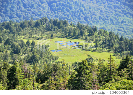 【山の風景】福島県・燧ヶ岳登山・広沢田代 【山の風景】福島県・燧ヶ岳登山・広沢田代 134003364