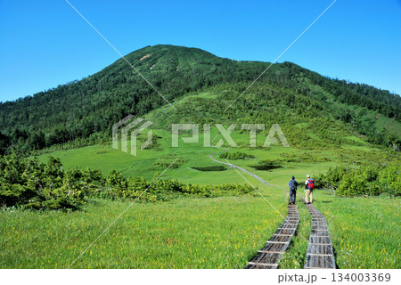 【山の風景】福島県・燧ヶ岳登山・熊沢田代 134003369