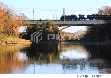 晩秋の鬼怒川橋梁を渡る…【SL大樹・5号】C11207 134003398
