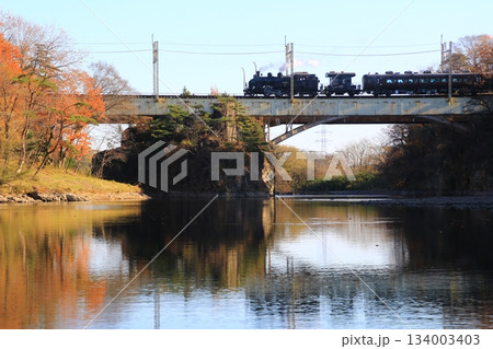 晩秋の鬼怒川橋梁を渡る…【SL大樹・5号】C11207 134003403
