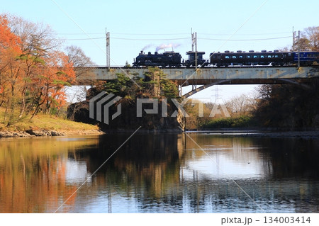 晩秋の鬼怒川橋梁を渡る…【SL大樹・5号】C11207 晩秋の鬼怒川橋梁を渡る…【SL大樹・5号】C11207 134003414