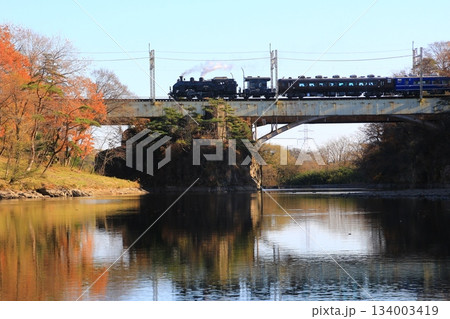 晩秋の鬼怒川橋梁を渡る…【SL大樹・5号】C11207 晩秋の鬼怒川橋梁を渡る…【SL大樹・5号】C11207 134003419