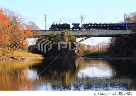 晩秋の鬼怒川橋梁を渡る…【SL大樹・5号】C11207 134003420