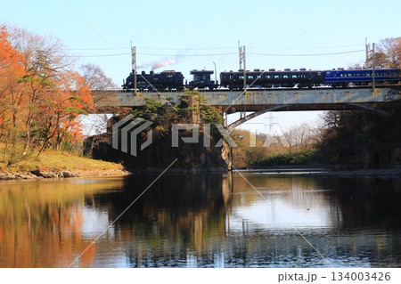 晩秋の鬼怒川橋梁を渡る…【SL大樹・5号】C11207 晩秋の鬼怒川橋梁を渡る…【SL大樹・5号】C11207 134003426