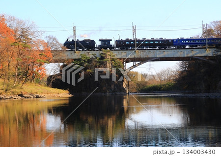 晩秋の鬼怒川橋梁を渡る…【SL大樹・5号】C11207 134003430
