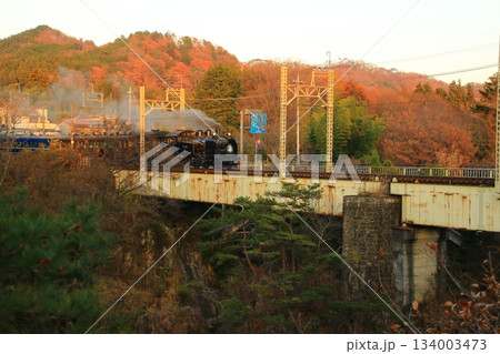 晩秋の夕映え… 鬼怒川橋梁を渡る【SL大樹・6号】C11207 134003473