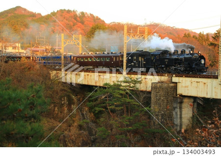 晩秋の夕映え… 鬼怒川橋梁を渡る【SL大樹・6号】C11207 134003493