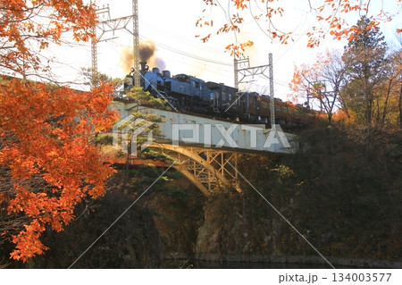 晩秋の朝陽に照らされた鬼怒川橋梁を渡る…【SL大樹・1号】C11207 134003577