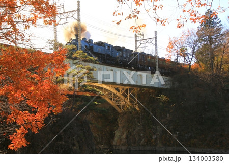 晩秋の朝陽に照らされた鬼怒川橋梁を渡る…【SL大樹・1号】C11207 134003580