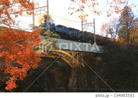晩秋の朝陽に照らされた鬼怒川橋梁を渡る…【SL大樹・1号】C11207 134003581