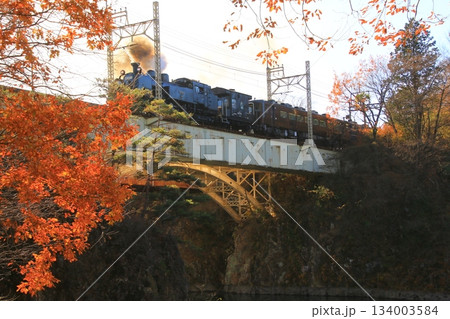 晩秋の朝陽に照らされた鬼怒川橋梁を渡る…【SL大樹・1号】C11207 134003584