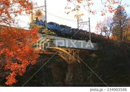 晩秋の朝陽に照らされた鬼怒川橋梁を渡る…【SL大樹・1号】C11207 134003586