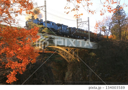 晩秋の朝陽に照らされた鬼怒川橋梁を渡る…【SL大樹・1号】C11207 晩秋の朝陽に照らされた鬼怒川橋梁を渡る…【SL大樹・1号】C11207 134003589