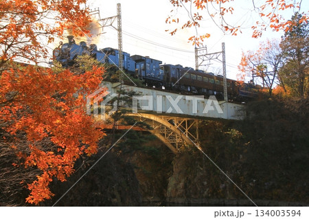 晩秋の朝陽に照らされた鬼怒川橋梁を渡る…【SL大樹・1号】C11207 134003594