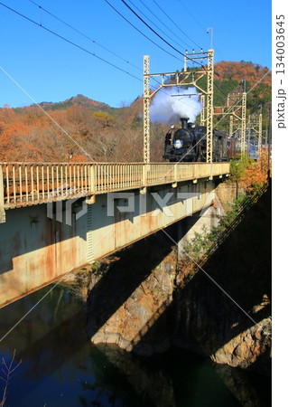 晩秋の鬼怒川橋梁を渡る…【SL大樹・2号】C11207 晩秋の鬼怒川橋梁を渡る…【SL大樹・2号】C11207 134003645