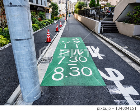 スクールゾーンと時間帯を表す路面標示 134004151