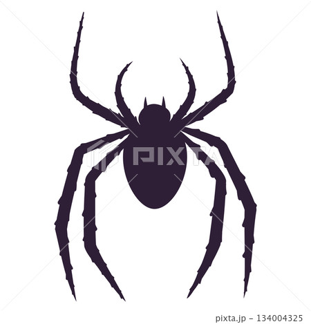 spider black silhouette 134004325