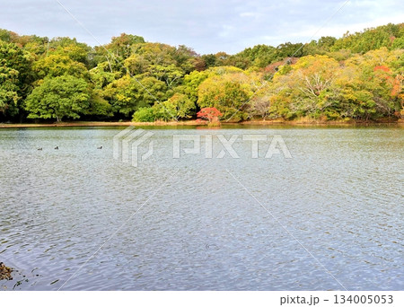 湖の色づき始めの風 湖の色づき始めの風 134005053