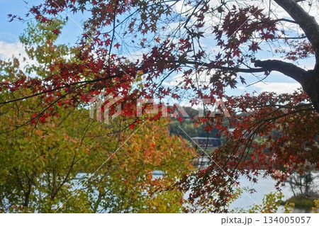 湖の色づき始めの風 134005057