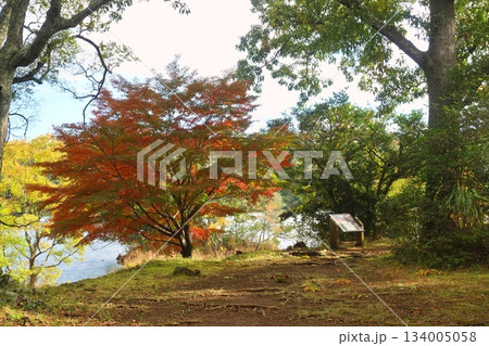 湖の色づき始めの風 湖の色づき始めの風 134005058