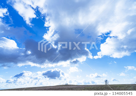 冬空と雲と草原 冬空と雲と草原 134005545