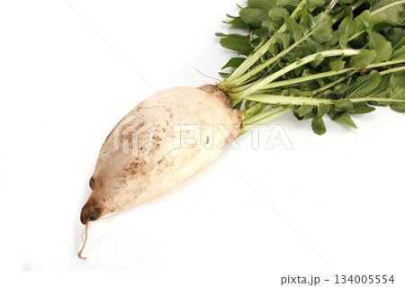 新鮮な泥付き大根 134005554
