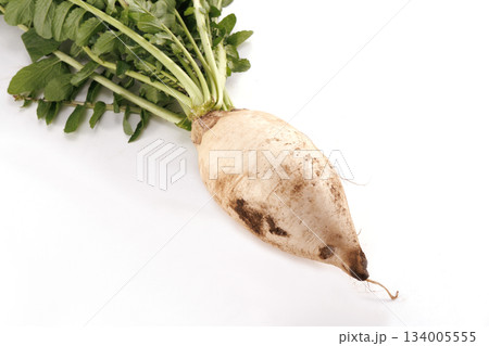 新鮮な泥付き大根 134005555