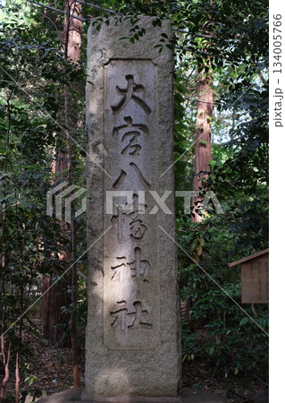深緑の参道に光が宿る大宮八幡神社への誘い 134005766
